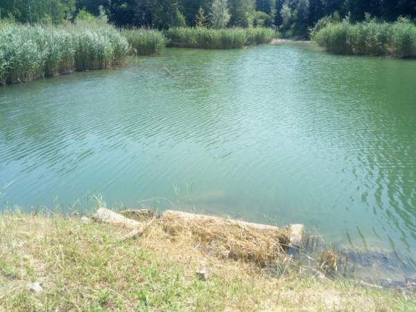 Rybník Břízovec