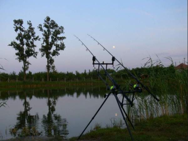 Carp Paradise