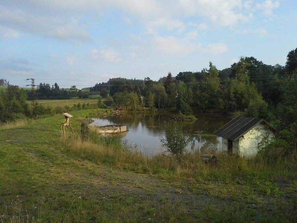 Ryby - Vlček