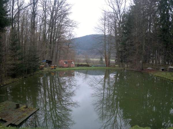 Rybník v Dubčí