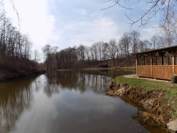 Rybník Mirmil - Bedrč, sportovní rybolov