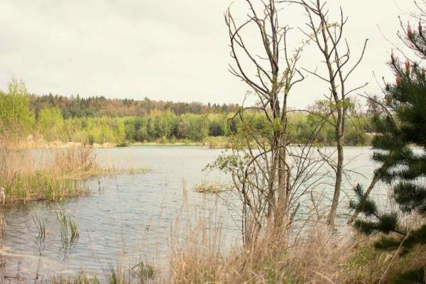 Pískovna Vejprnice PMP-Fishing