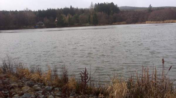 Nový rybník Čáslavice