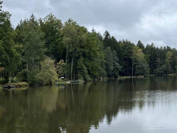 Adamovský rybník - Areál Adamec