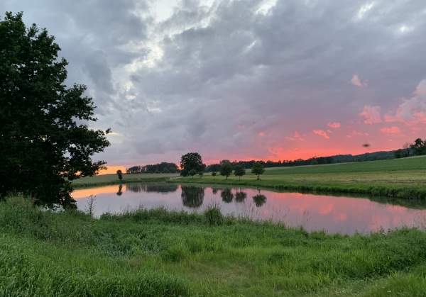 Rybník Renčín