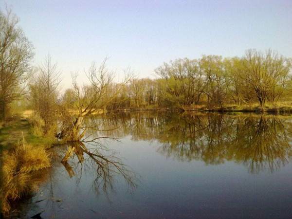 Liščí jezero