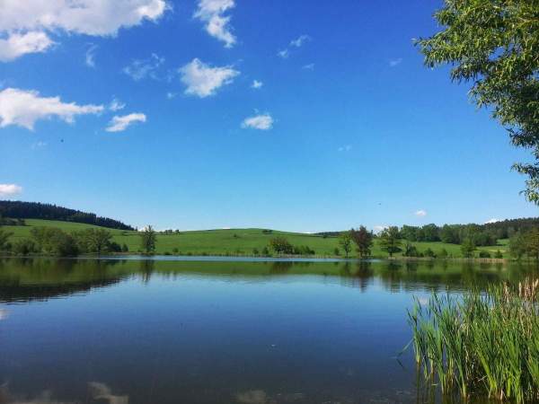 Podnovoveský rybník