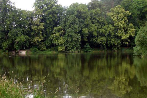 Oborský rybník